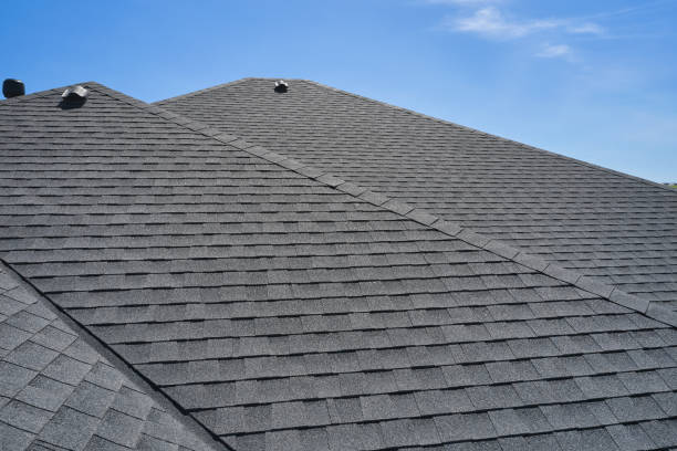 Best Roof Maintenance and Cleaning  in Albany, CA